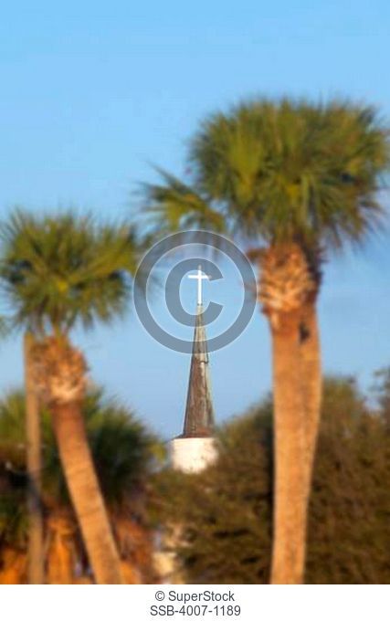 USA, Florida, Jacksonville, Jacksonville Beach, Church among palm trees