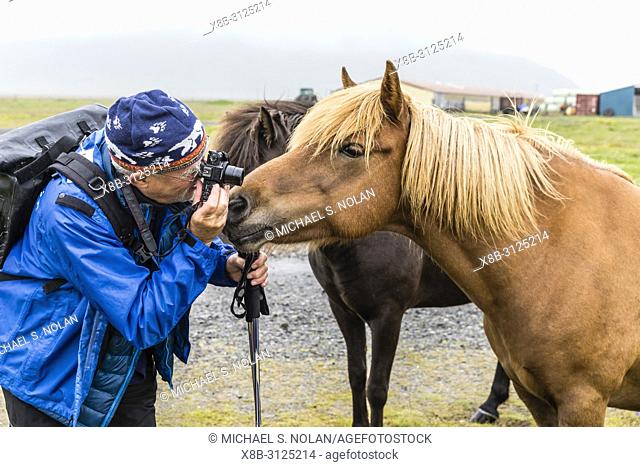 Photographer with Icelandic horses on a farm on the southeast coast of Iceland