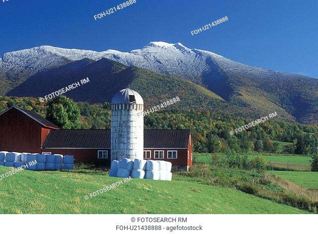 first snow, mountain, farm, Cambridge, VT, Vermont, farm, red barn, Pleasant Valley, fall, first snow, Mt. Mansfield