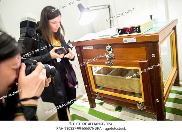 27 March 2018, Germany, Braunschweig: Journalists taking pictures of an incubator, where eggs are kept, in the Braunschweig Museum of Natural History