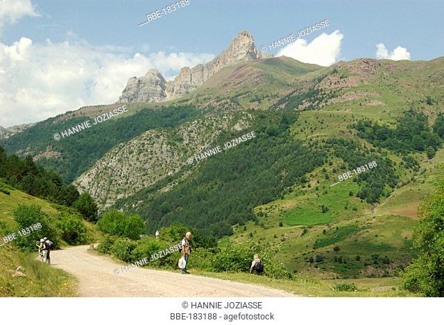 View on the Spanish Pyrenees