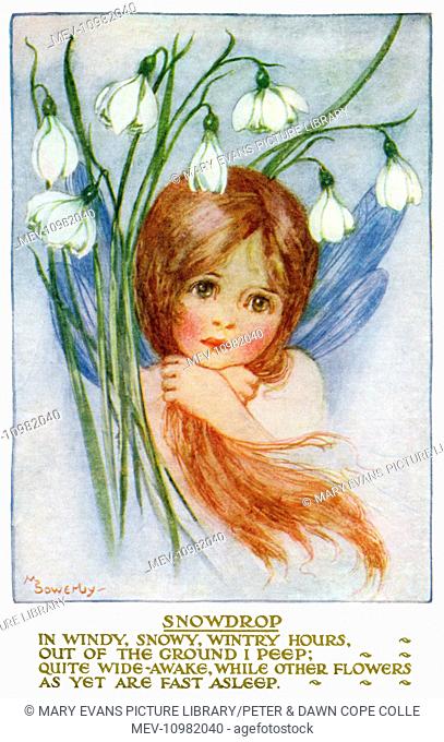 Pub: Humphrey Milford, 'Postcards for the Little Ones'. Flower Children series. Artist: Amy Millicent Sowerby