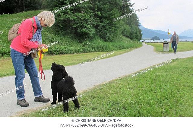 Picture of Christa Alder and her dog Henry, taken at a meadow near Sils lake in the canton of Graubunden, Switzerland, 21 July 2017