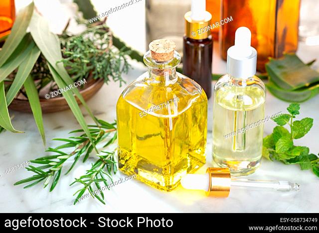 Herbal essential oil. Rosemary oil, eucalyptus oil, aloe vera, pepermint and fir oil for aromatherapy, wellness, skin care, herbal remedies
