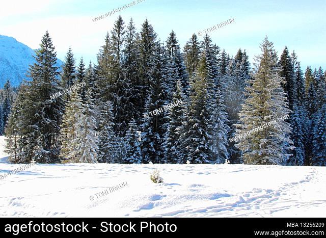 Winter hike near Mittenwald, near Elmau, Klais, Europe, Germany, Bavaria, Upper Bavaria, Werdenfels, winter