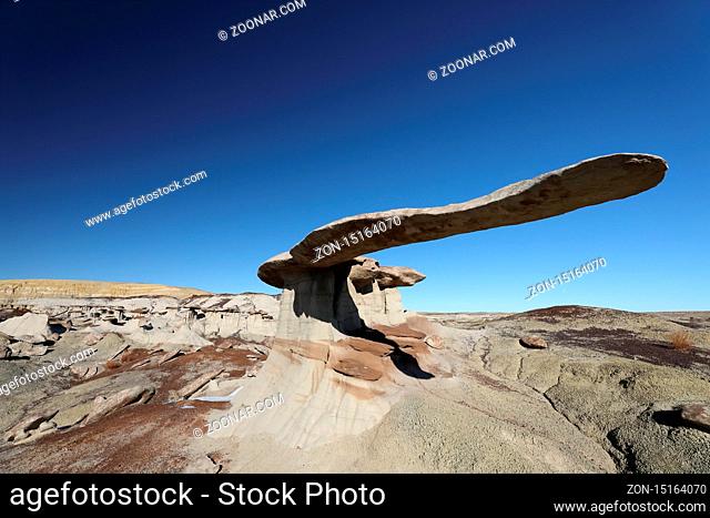 King of Wing, amazing rock formations in Ah-shi-sle-pah wilderness study area, New Mexico USA