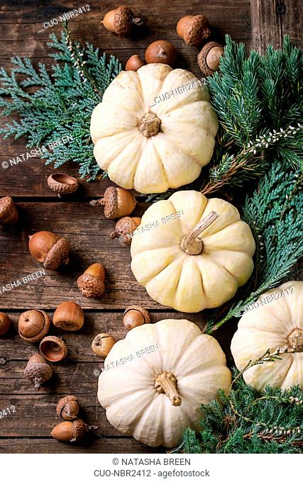Holiday decoration with white decorative pumpkins, thuja branches, walnuts and acorns over old dark wooden background. Top view with copy space