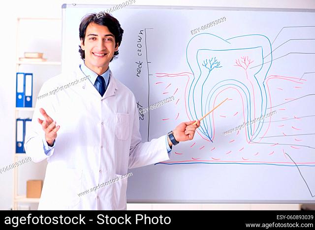 Young handsome dentist in front of the whiteboard