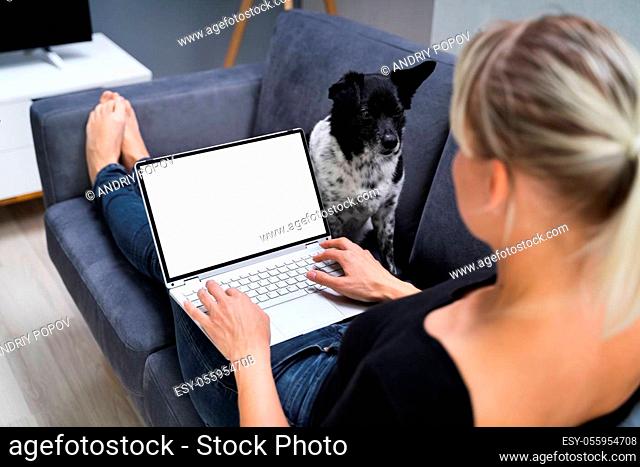 Woman At Home Room With Blank Laptop Computer