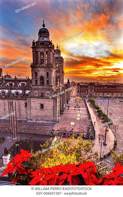 Metropolitan Cathedral Christmas in Zocalo, Center of Mexico City Mexico Sunrise