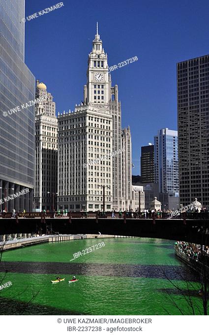 Chicago River dyed green on Saint Patrick's Day, Wrigley Building, Chicago, Illinois, USA