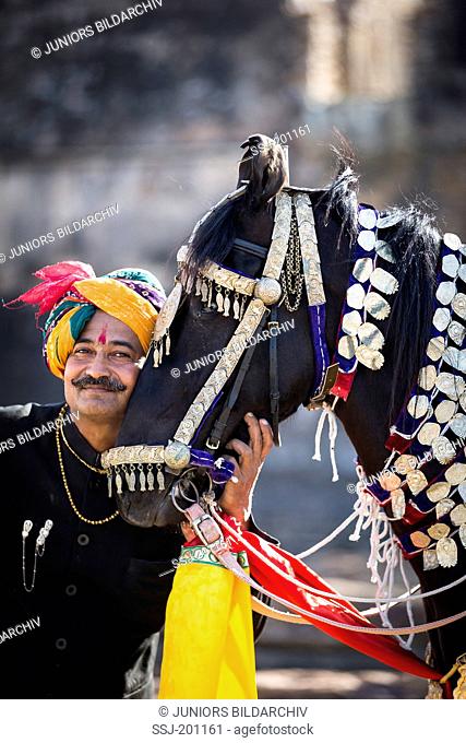 Marwari Horse. Black dancing horse with its proud owner. Rajasthan, India