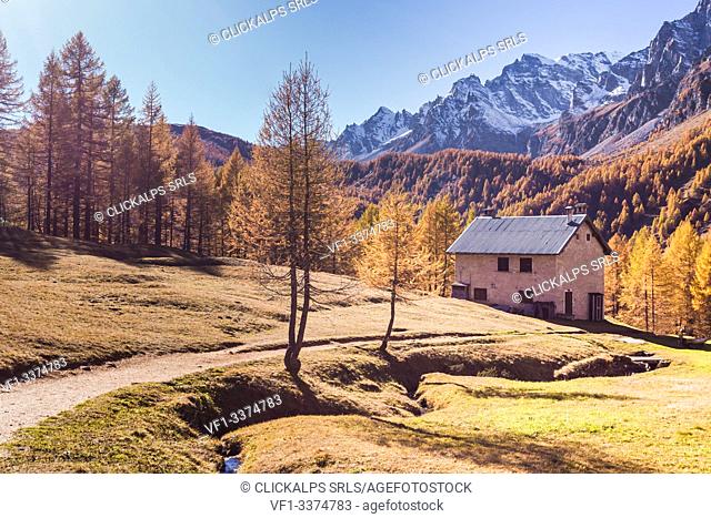 Italy, Piedmont, Devero alp, Alpe Devero