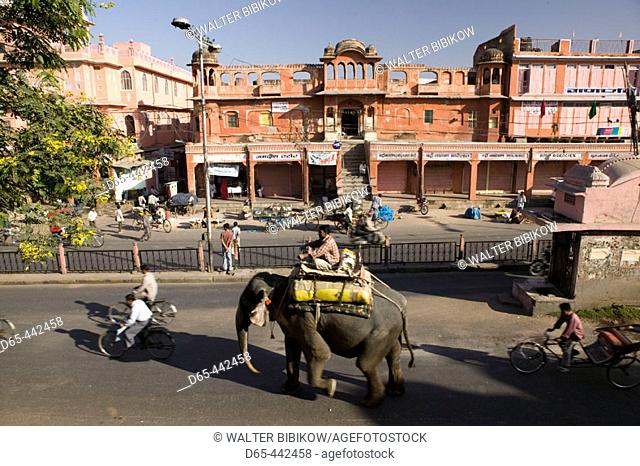 Elephant 'Taxi'.  Chandpol Bazaar. Old Jaipur. Jaipur. Rajasthan. India