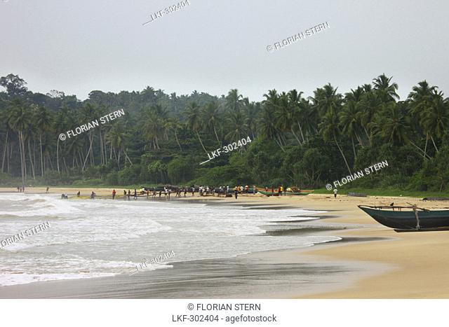 Sinhalese fishermen at Talalla beach pulling in their fishing net, Talalla, Matara, South coast, Sri Lanka, Asia