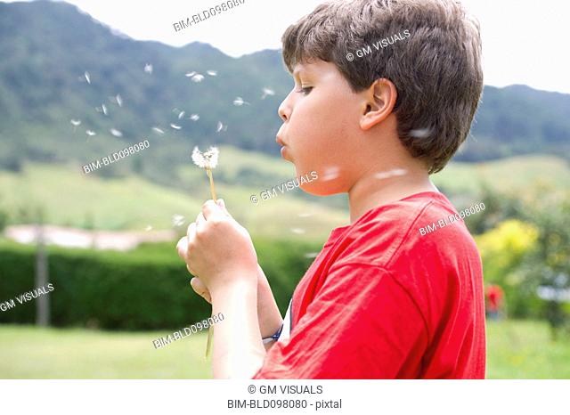 Hispanic boy blowing dandelion seeds