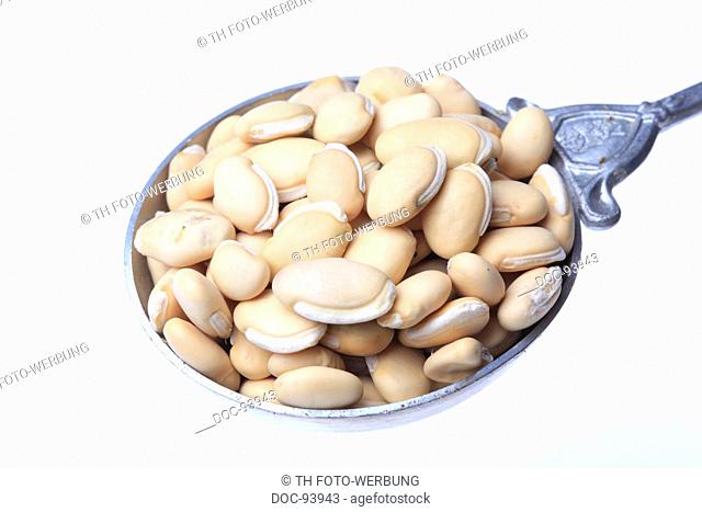 Medicinal plant Dolichos seed , Hyacinth bean , egyptian kidney bean , Dolichos lablab , Semen Dolichoris