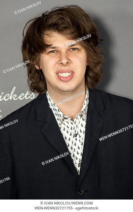 'Lemony Snicket's A Series Of Unfortunate Events' Screening at AMC Lincoln Square Theater - Red Carpet Arrivals Featuring: Matty Cardarople Where: New York
