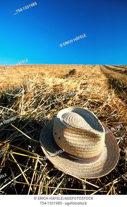 Straw hat on a harvested grain field