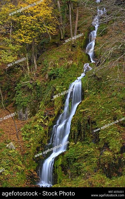 Toran river and Saut d'Arbaet waterfall, in autumn, in the Toran Valley (Aran Valley, Catalonia, Spain, Pyrenees)