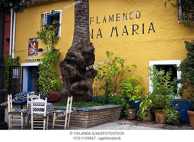 Famous flamenco in Marbella