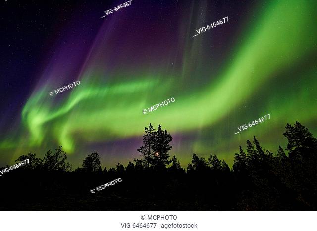 Nordlicht (Aurora borealis), Norrbotten, Lappland, Schweden, September 2015 - Schwedisch Lappland, , Scandinavia, 08/09/2015