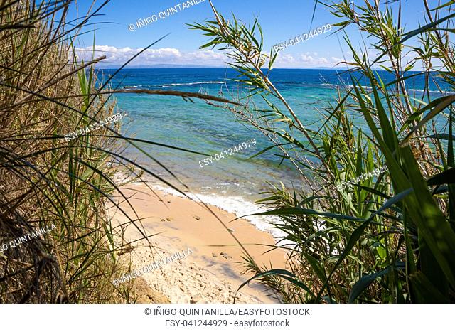 beautiful landscape of wild natural Beach Punta Paloma in Tarifa, Cadiz, Andalusia, Spain, from the cane forest