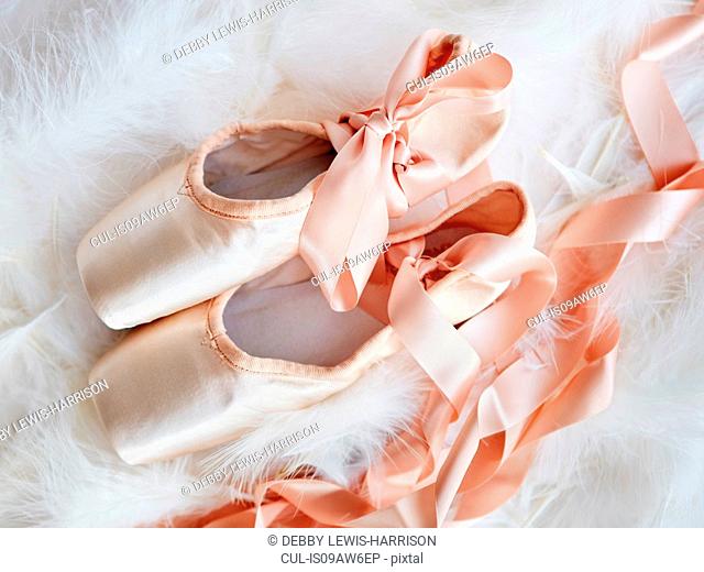 Overhead view of ballet slippers