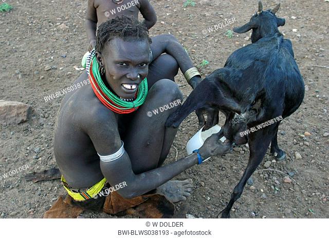 young Toposa woman milking goat, Sudan