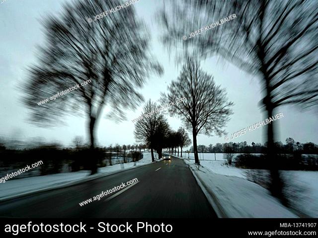 Germany, Bavaria, Upper Bavaria, Altötting district, country road, avenue, car, winter, gloomy, zoomed