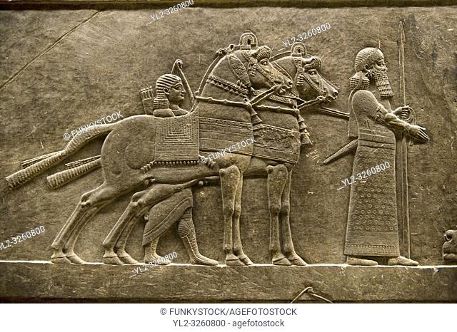 Assyrian relief sculpture panel of Ashurnasirpal lion hunting. From Nineveh North Palace, Iraq, 668-627 B. C. British Museum Assyrian Archaeological exhibit