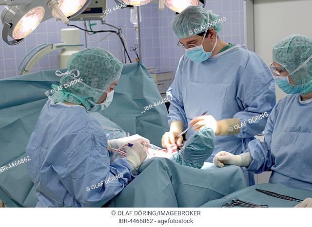 Amputation of lower leg in the operating room, hospital, Department Vascular Surgery, Düsseldorf, North Rhine-Westphalia, Germany