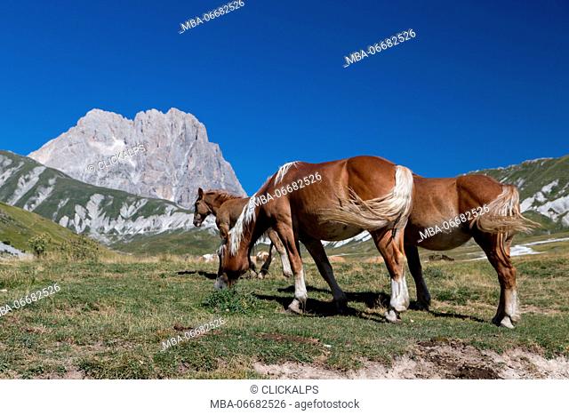 Europe, Italy, Abruzzo. Gran Sasso and Monti della Laga National Park