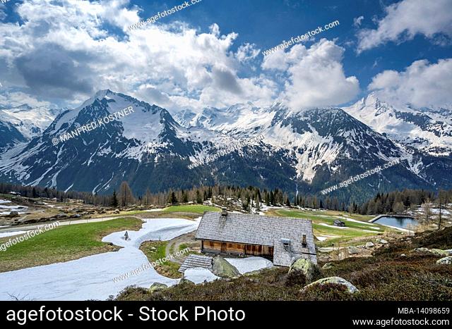prettau, ahrntal, bolzano province, south tyrol, italy. the starklalm above kasern in the ahrntal, in the background the sattelspitze (left)