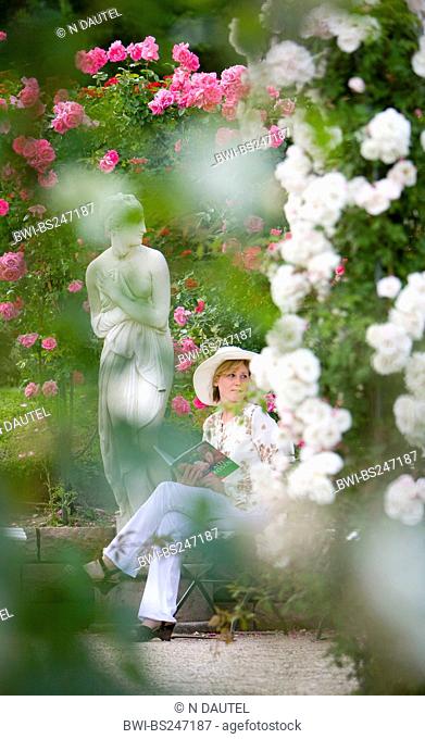 ornamental rose Rosa spec., woman sitting in a rose garden, Germany