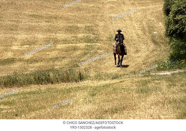 A man rides his horse during a romeria, or pilgrimage, in honor of San Isidro Labrador, the patron of farmers, in Prado del Rey village, Cadiz Province