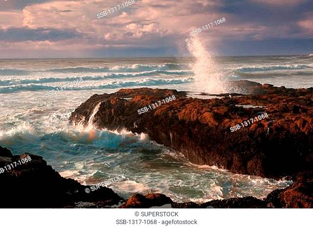 Waves crashing on the beach, Cooks Chasm, Oregon Coast, Oregon, USA