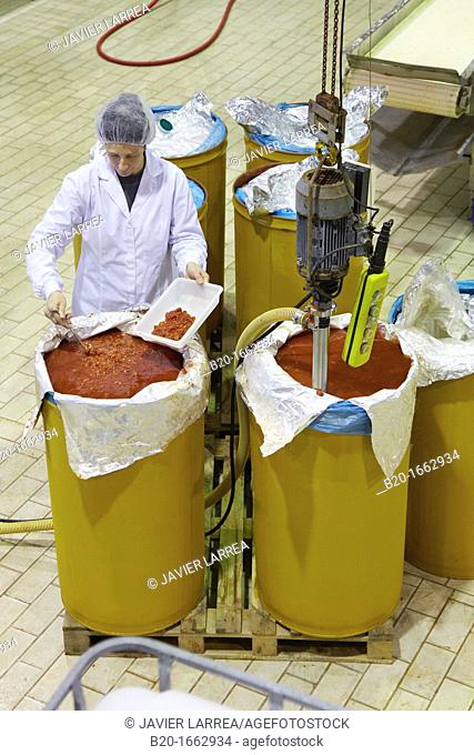 Production line of canned vegetables and beans in glass bottle, Cooked Tomato, Canning Industry, Agri-food, Gutarra, Grupo Riberebro, Villafranca, Navarra