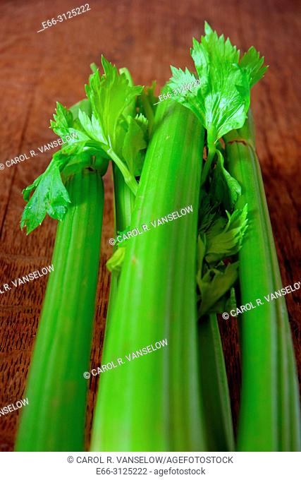 Celery is a healthy snack. Bunch of celery lying on wooden table