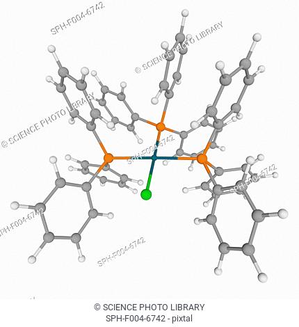 Wilkinson's catalyst, molecular model. Metal complex used for catalyzing the hydrogenation of alkenes. Atoms are represented as spheres and are colour-coded:...
