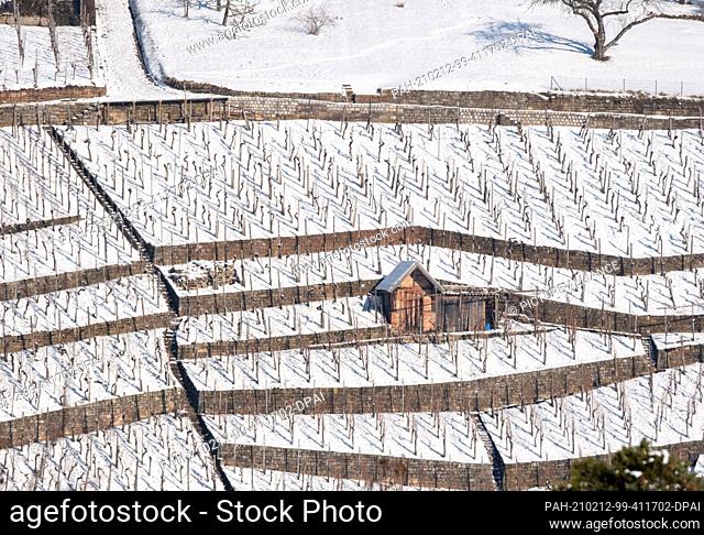 12 February 2021, Baden-Wuerttemberg, Stuttgart: In a snowy vineyard hillside with dry stone walls stands an old vineyard house
