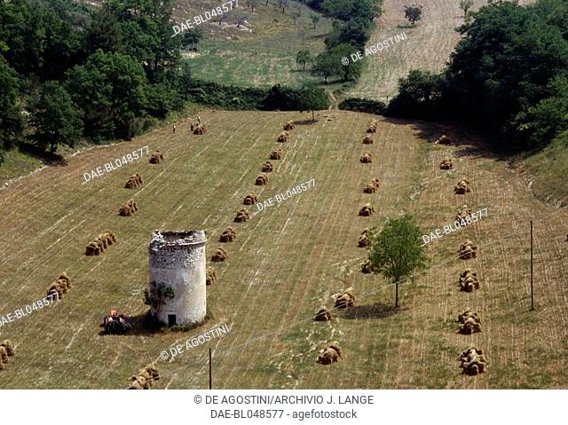 Ruins of a medieval tower in the middle of a hayfield, near Perugia, Umbria, Italy