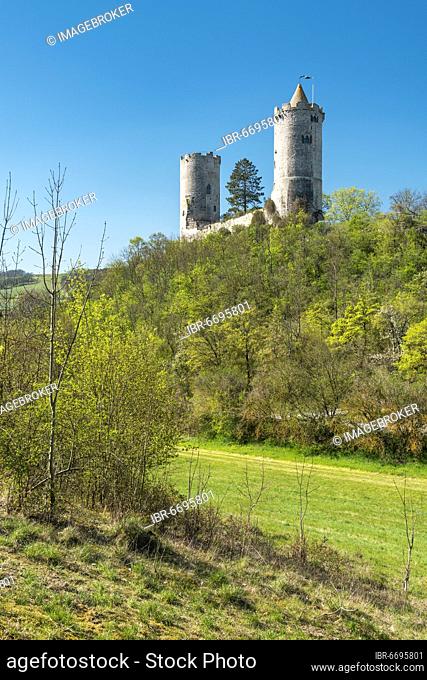 Castle ruin Saaleck in spring, Saale valley near Bad Kösen, Naumburg, Saxony-Anhalt, Germany, Europe