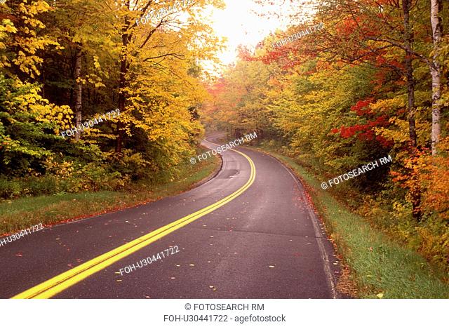 Vermont, road, Fall foliage along Route 232 in Groton State Forest
