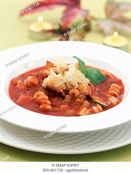 Minestrone soup with garlic croutons