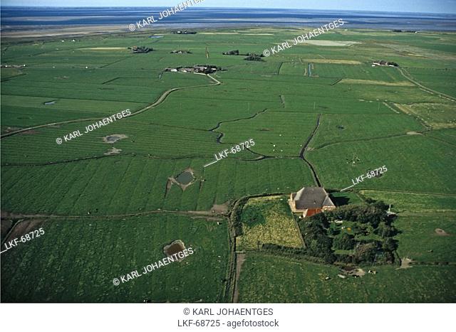 aerial photo of Haubarg farmhouse on marshland, Nordfriesland, North Frisia, Schleswig Holstein, North Sea, northern Germany