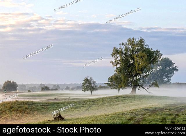 Morning ground fog in the Elbe foreland near Bleckede
