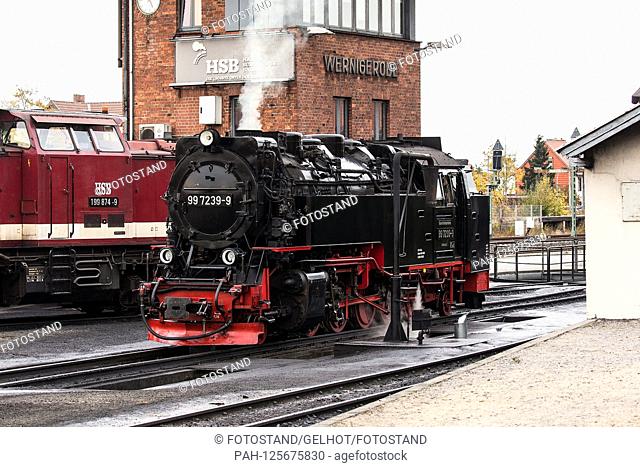 Wernigerode, Germany 14/15 October 2019: Wernigerode Impressions - October 2019 Dampflock in the depot of the HSG - narrow-gauge railway in Wernigerode, steam