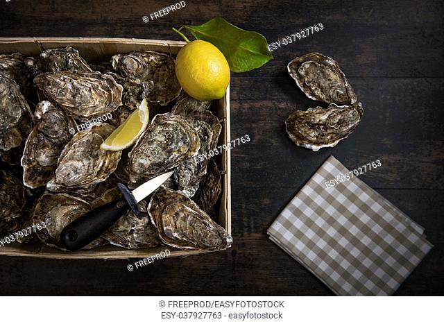 Raw oysters with lemon on wood board and bottle of wine and glass, France