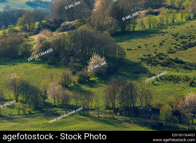 Spring landscape near the german city called Hallenberg with green meadow
